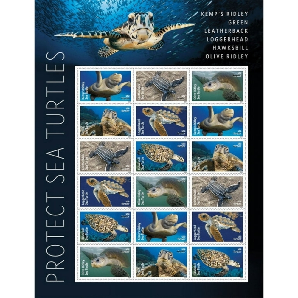 90 Protect Sea Turtles Forever Postage Stamps USPS‎ Wedding Invitations 2024